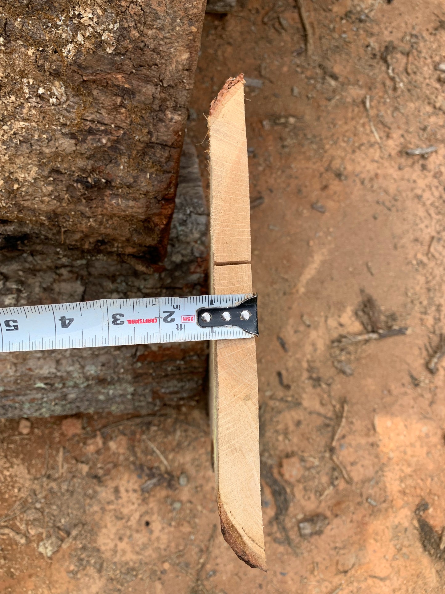 Rough Sawn Live Edge Hardwood Slab 36" x 3/4"